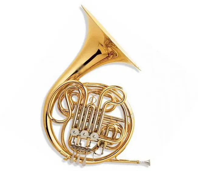 Xfh001 Professional Single French Horn Buy French Horn,Plastic French