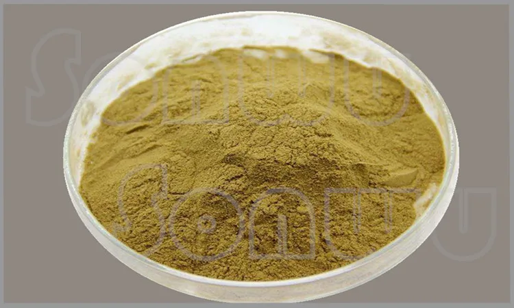 Bulk Oridonin/rabdosia Rubescens Extract - Buy Oridonin,Rabdosia ...