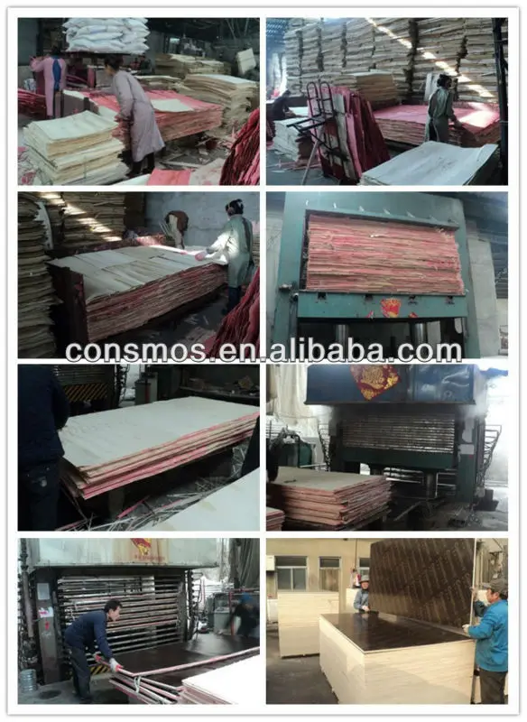 film faced plywood produce plant.jpg