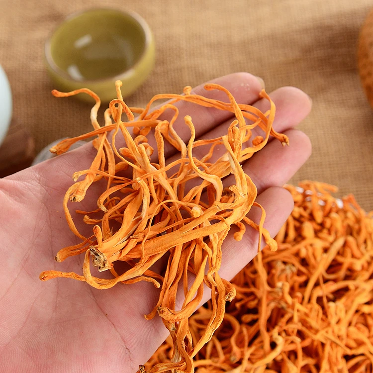 
Detan Cordyceps Militaris Mushroom Packaging 