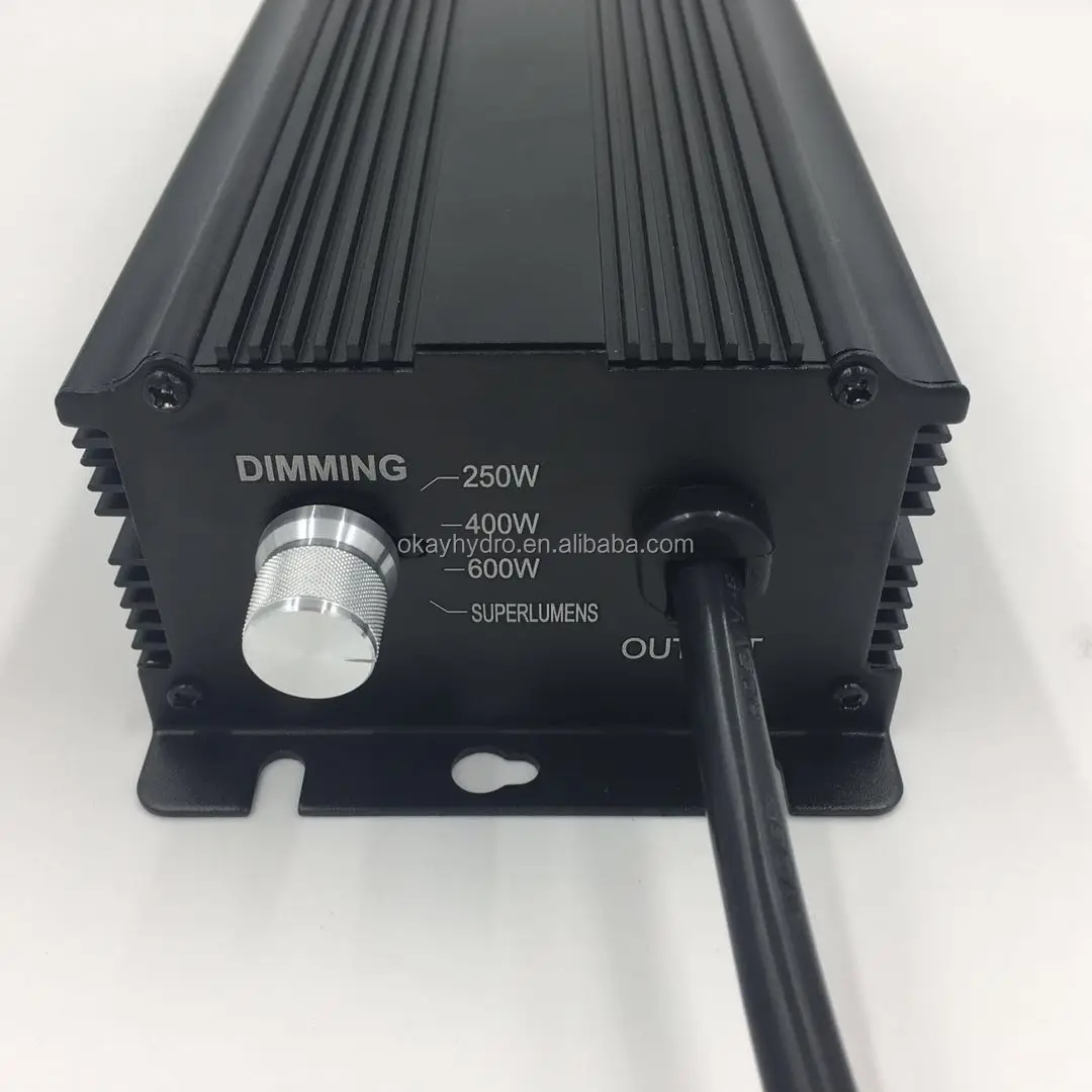 600w3.jpg