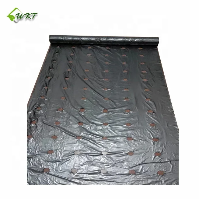 
black/silver/white/blue biodegradable plastic agricultural mulch film price 