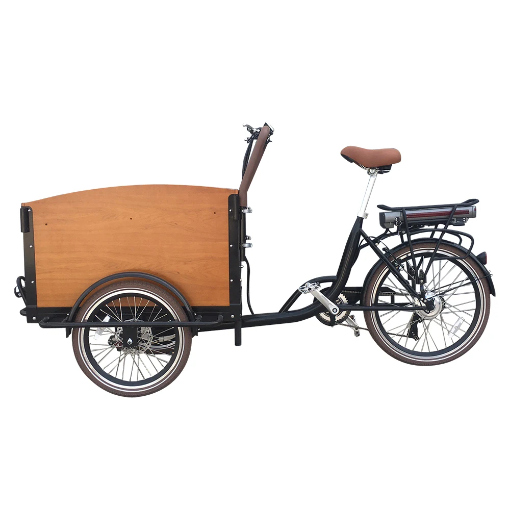 

6 Speed Alloy Frame Front Loading 250W Disc Brake Electric Cargo Trike with Kids Seats