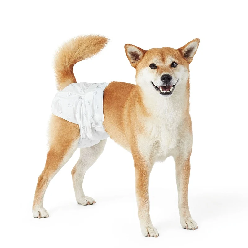 

Simple Solution Easy Disposable Female Dog Puppy Diapers, Customized