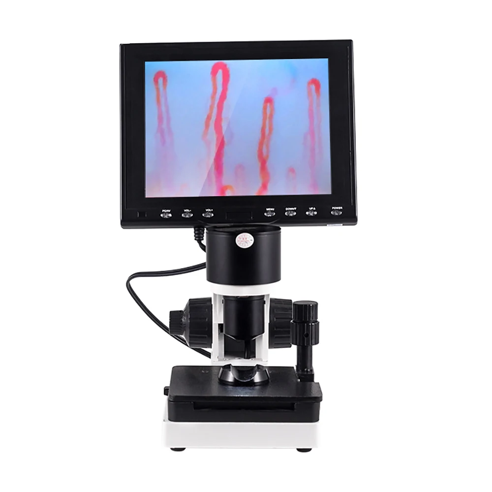 

Digital microscope Animal breeding Binocular blood analysis equipment biological microscope machine