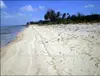 Mason Bay Acklins Bahamas Beach Land