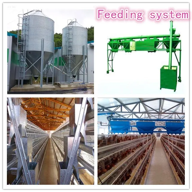 Automatic feeding systems.jpg