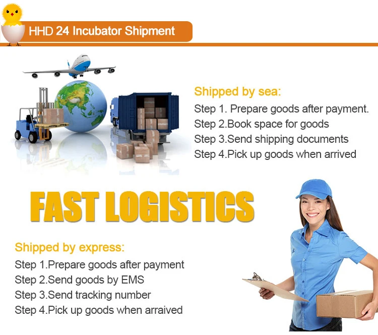24 shipment