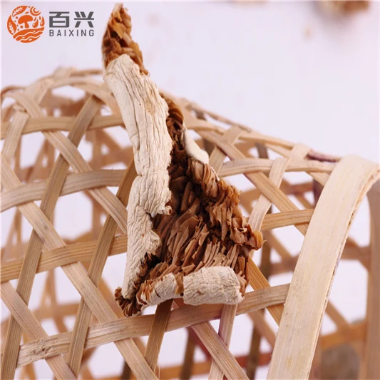 
Wild dried tricholoma matsutake for wholesale 