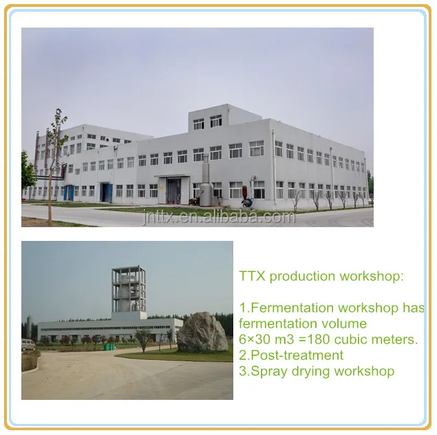 Alkaline protease extracted from bacillus licheniformis