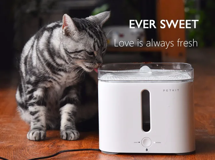 Reddot Award Winner Petkit Smart Dog And Cat Water Fountain For Winter Buy Cat Fountaindog Water Fountaincat Water Fountain Product On Alibabacom