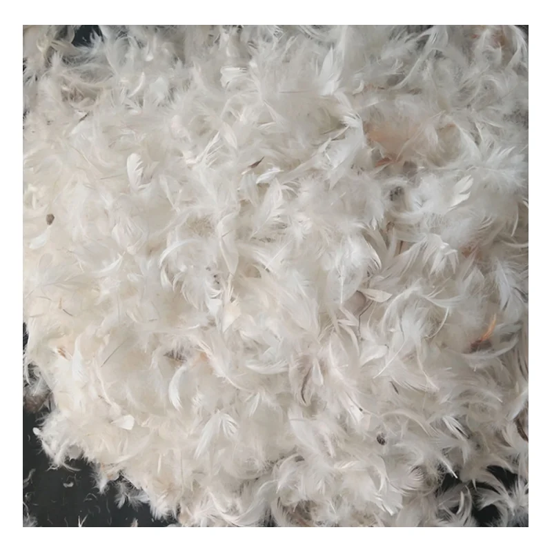 
Wholesale 90% Washed White Duck Down feather Goose Down Feather 