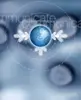 Communication Skills course materials courseware with slides, facilitator notes and participant workbook