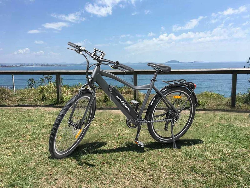 2019 36v 250w with lcd display mountain e-bike