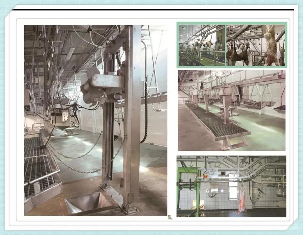 1000 Sheep Slaughtering Equipment Sheep Farming Slaughterhouse Buy 1000 Sheep Slaughtering