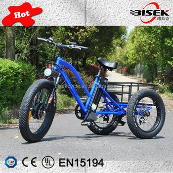 trike drive electric