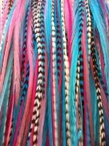 blue hair feathers