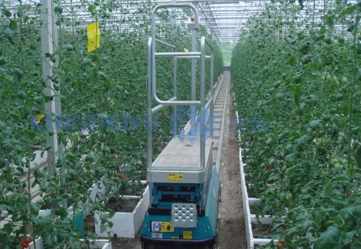 Vegetable And Fruit Harvest Equipment Buy Vegetable And Fruit Harvest