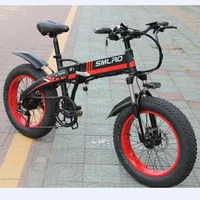 

20 inch 7 Speed Fat Tire electric bicycle/ Mountain Bike Bicycle 48V 10AH 350W Made in China