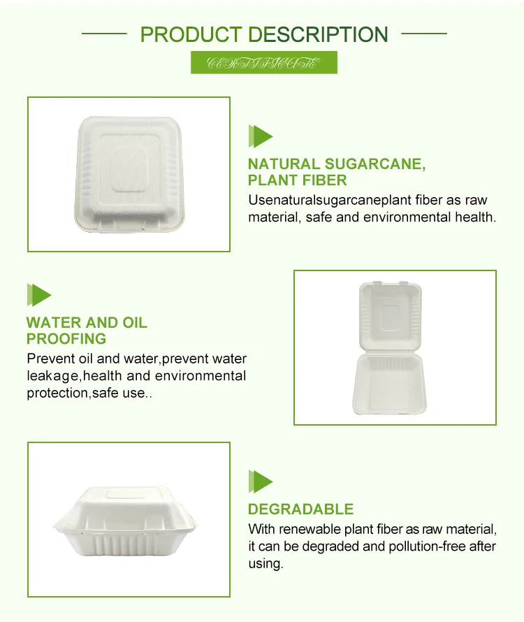 Biodegradable Sugarcane Bagasse 8x8 Inch Hamburger Box Take Away Food ...