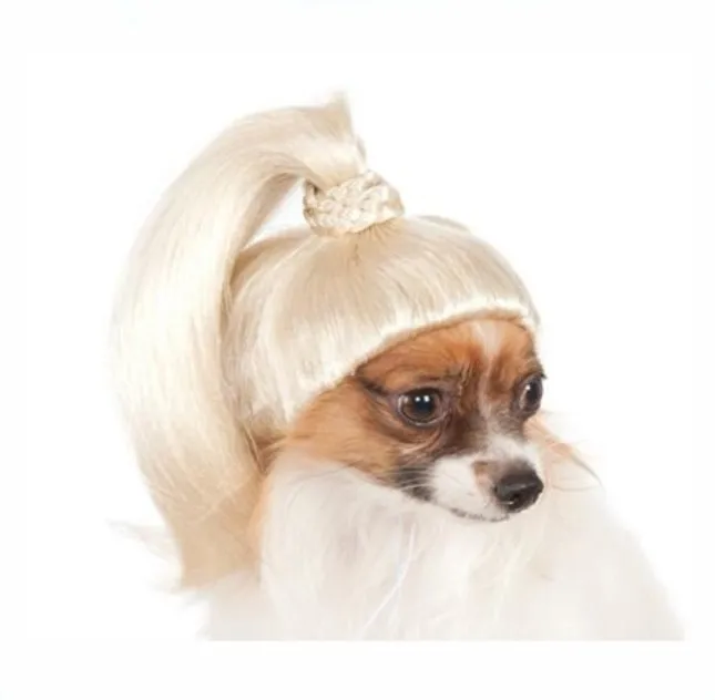 Dog with blonde wig Clearance