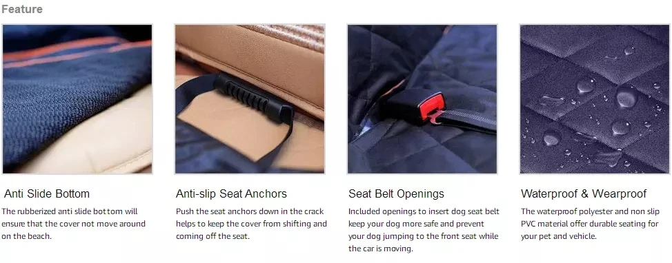 features.jpg