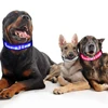 Phone APP Control DIY Message Elastic Custom Logo USB Rechargeable Led Dog Collar