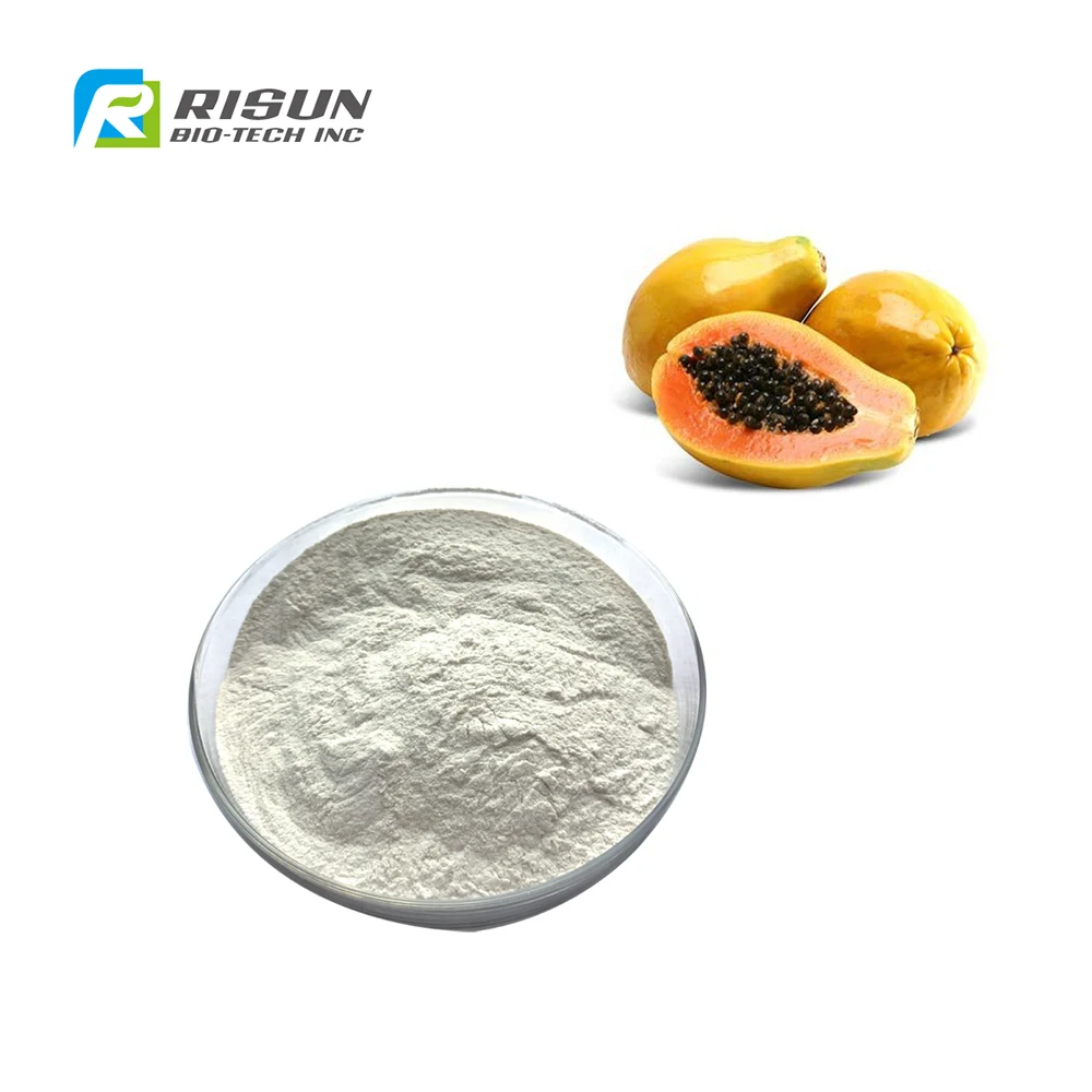 Compeletly Water Soluble Papain Meat Tenderizer Papaya Extract Pure