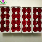 Vente en gros 4-5 cm couleur rouge conservée Rose de haute qualité