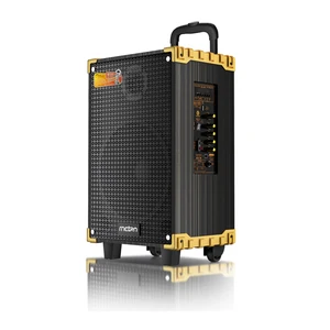 Portable 60W Wireless Trolley Amplifier Speaker