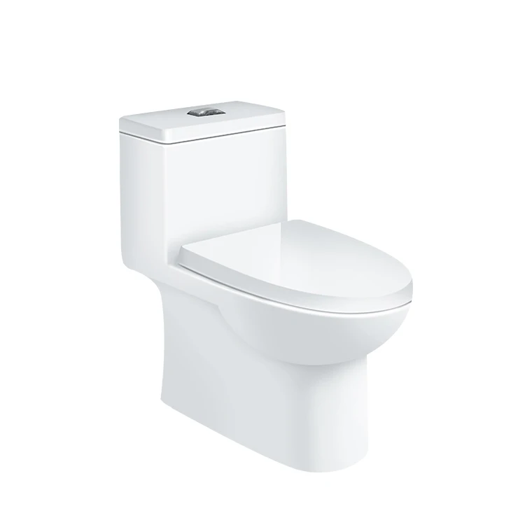 
One piece Elongated Toilet With Siphon Flushing 