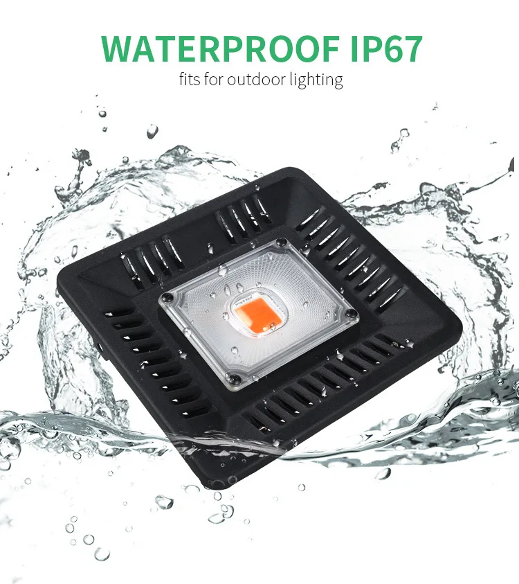 8867925768_884593302