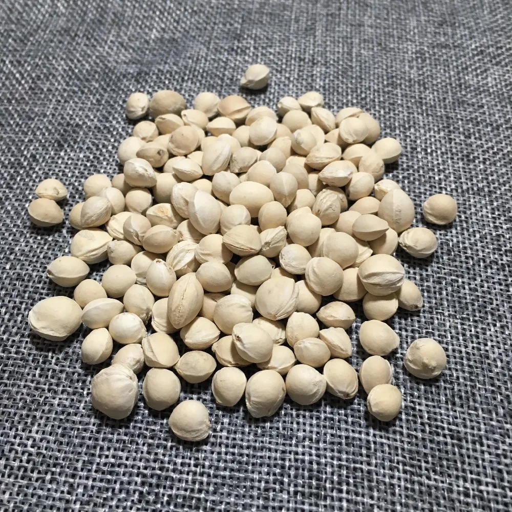 2010 Ying Tao He Fresh Dried Fruit Wholesale Cherry Pits Buy