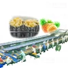 Automation canned pineapple processing plant