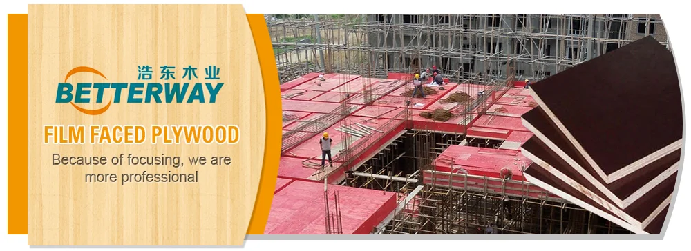 paste-pic-dp_uuid_0t7jg