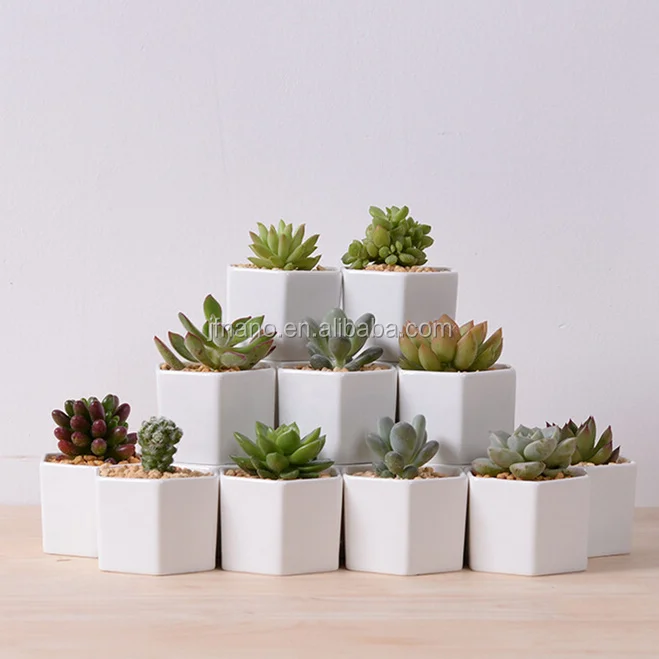 Desktop decor hexagon small white ceramic planter pot