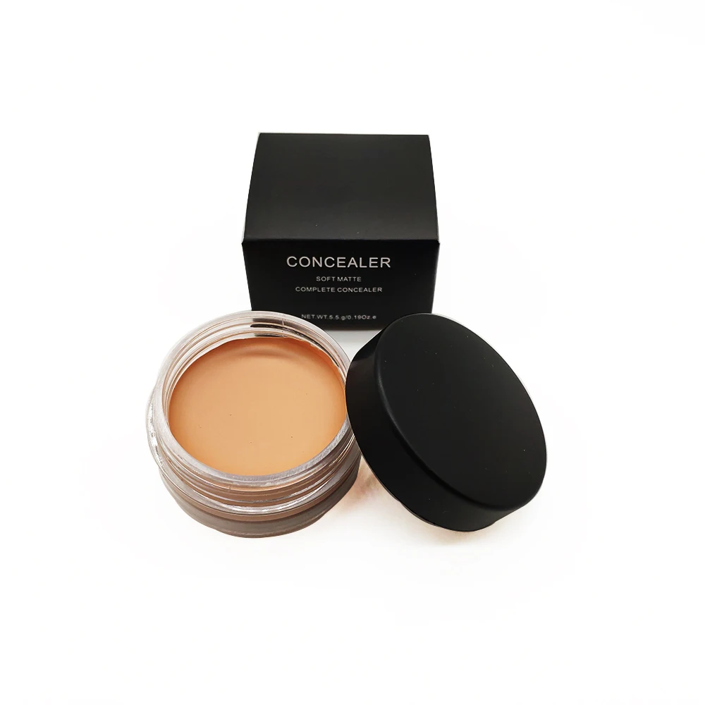 Wholesale price cosmetics 10 color makeup full coverage private label concealer