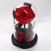 Hot sale Valentine's Day Gift wholesale glass dome preserved rose with gift box