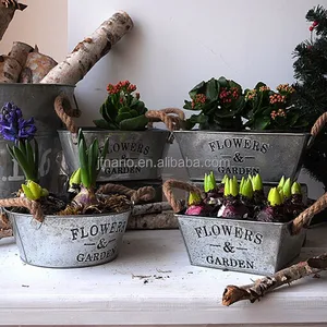 Image of Vintage hyacinth metal pot iron garden flower pot