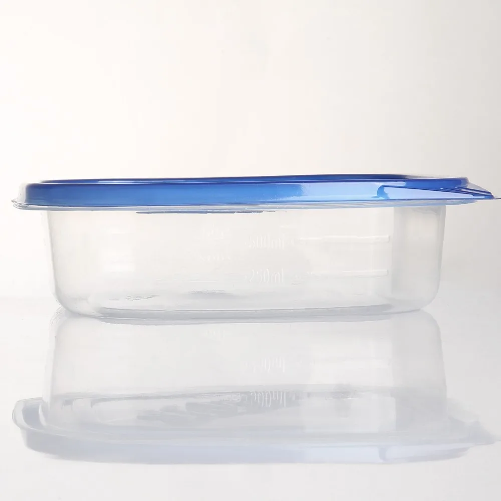 Factory price New Style Food Grade Ink Disposable Food Container Plastic