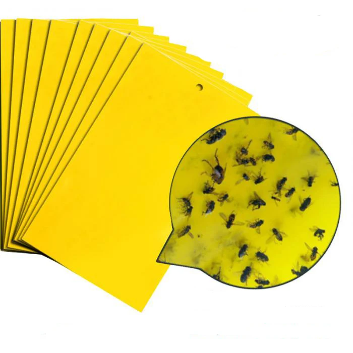  Mosquito Insect Glue Trap .jpg