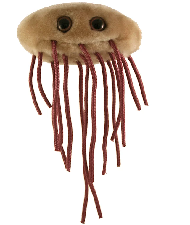 bacteria plush