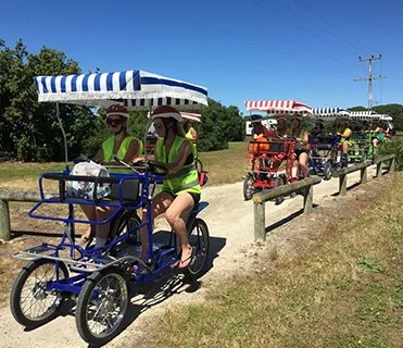 Four Seater 4 Wheels Pedal Sightseeing Electric Surrey Quadricycle ...