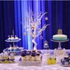 Artificial White Branches Dry Tree Without Leaves for Wedding Table Centerpiece Decoration
