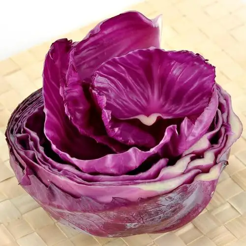 purple cabbage powder