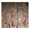 fast grow cold resistant high survive Paulownia Root Cutting for forest
