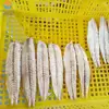 Frozen Mackerel Fillet Skinless and Boneless Mackerel Fish Meat