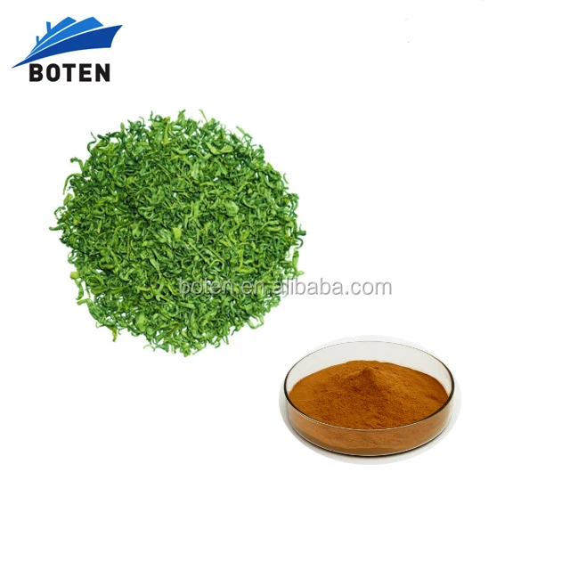 Organic Green tea extract, with active ingredients EGCG, L-theanine, Tea Polyphenol instant green tea extract powder