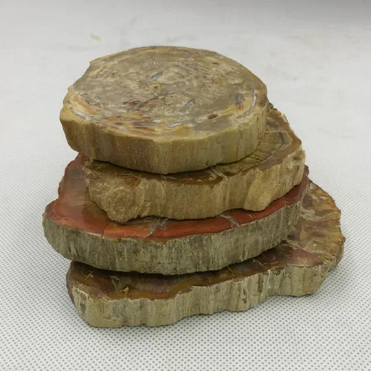 天然石化木化石宝石装饰板