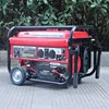 Bison(CHINA) 3000kw gasoline generator manual data entry work home portable gasoline generator